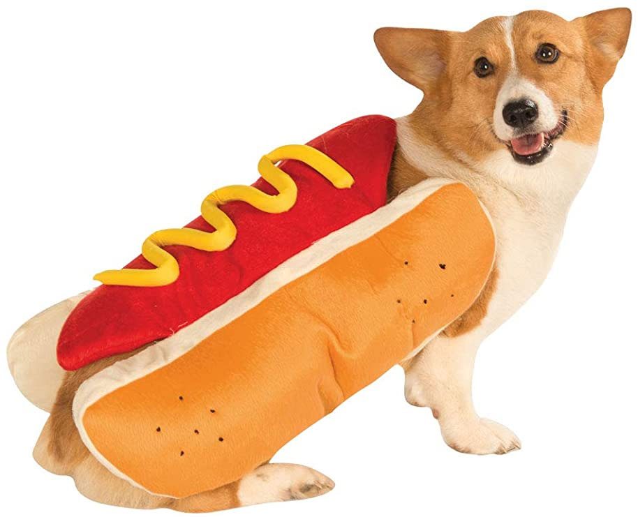 A corgi wearing a hotdog Halloween costume