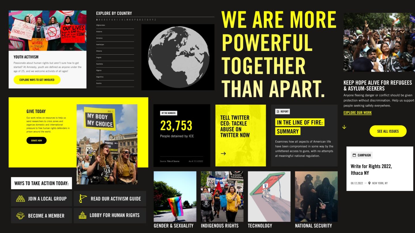 Amnesty International USA Preview