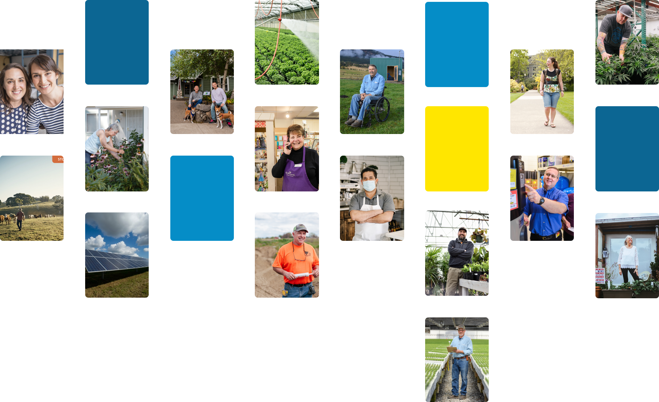 A collage of diverse small business owners, farmers, and community members across rural and agricultural settings. Photos include people working in greenhouses, farms, and local shops, alongside decorative blocks of blue and yellow. Subjects represent a range of ages, backgrounds, and abilities, including a person using a wheelchair.